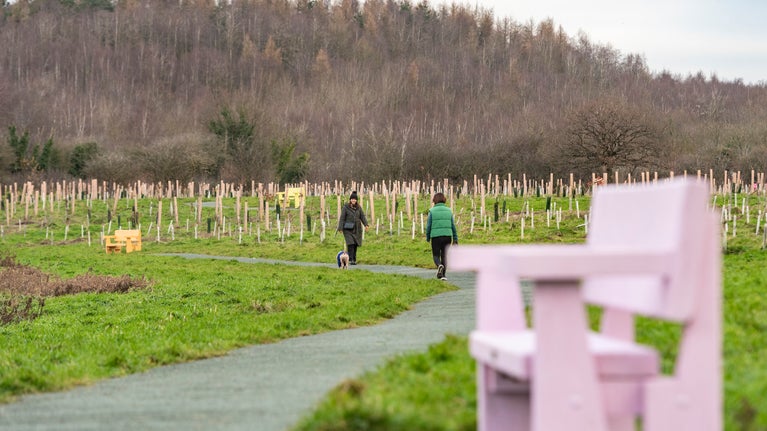 The Commemorative Woodland at Erddig, featuring a pink bench in the foreground. In the background, a few people stroll along a pathway surrounded by greenery.